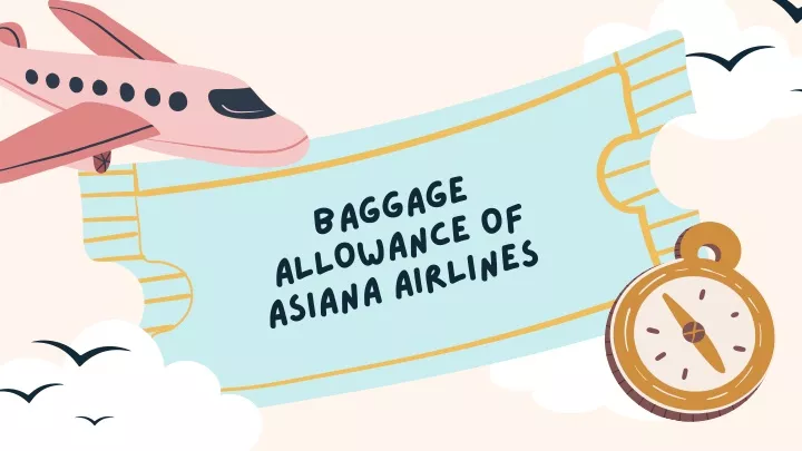 baggage allowance of