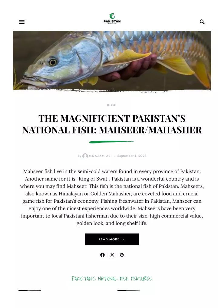 pakistan s national fish features