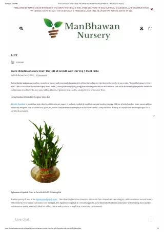 From Christmas to New Year_ The Gift of Growth with Our Top 5 Plant Pi – ManBhawan Nursery
