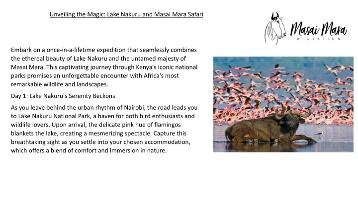 unveiling the magic lake nakuru and masai mara