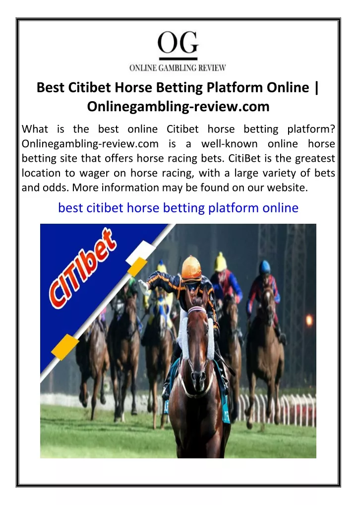 best citibet horse betting platform online
