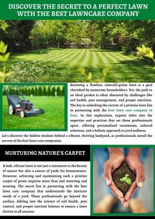 Discover the Secret to a Perfect Lawn with the Best Lawncare Company