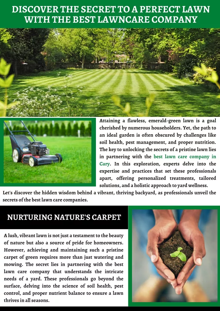 discover the secret to a perfect lawn with