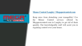 Mouse Control Langley  Megapestcontrol.com