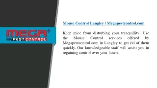 mouse control langley megapestcontrol com keep