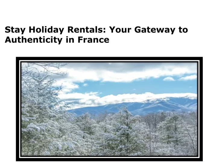 stay holiday rentals your gateway to authenticity