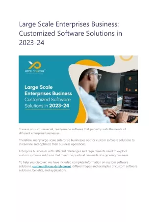 Large Scale Enterprises Business: Customized Software Solutions in 2023-24