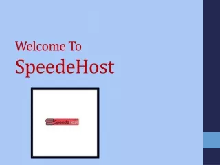 Offshore Windows VPS Hosting Services | SpeedeHost