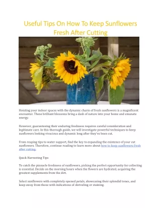 useful tips on how to keep sunflowers fresh after