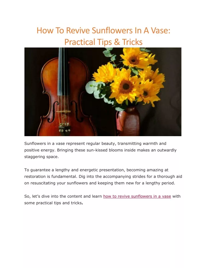 how to revive sunflowers in a vase practical tips