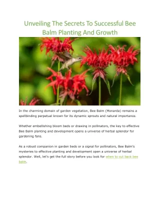 unveiling the secrets to successful bee balm