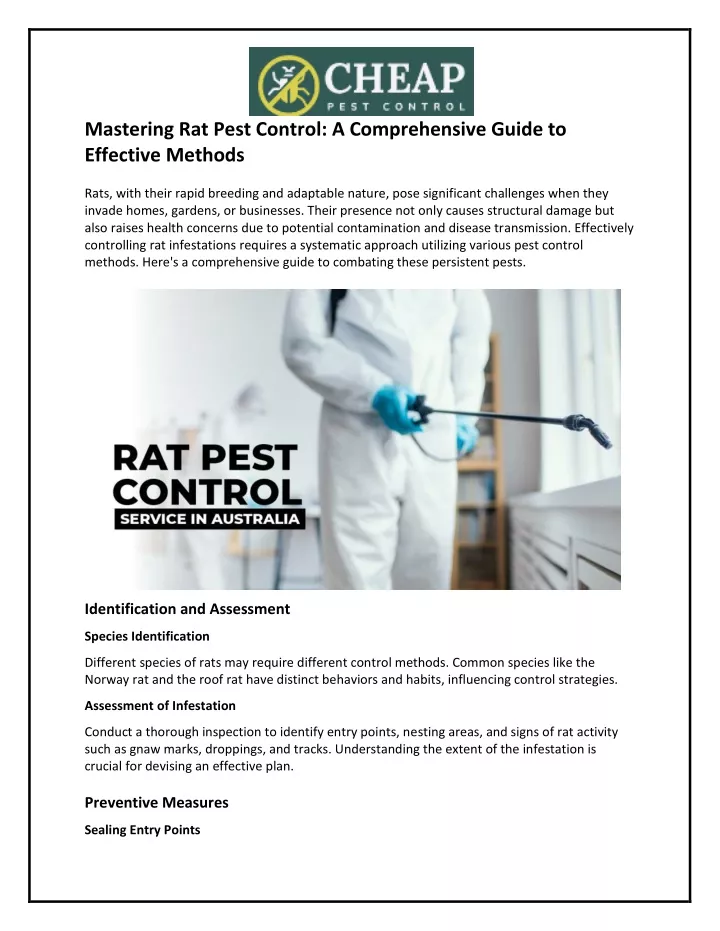 mastering rat pest control a comprehensive guide