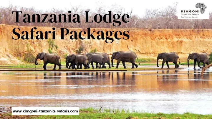 www kimgoni tanzania safaris com
