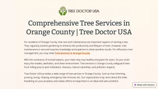 Comprehensive Tree Services in Orange County | Tree Doctor USA