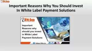 important reasons why you should invest in white label payment solutions