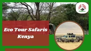 Eco Tour Safaris Kenya