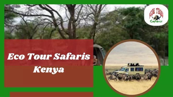 eco tour safaris kenya