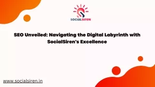 SEO Unveiled Navigating the Digital Labyrinth with SocialSiren's Excellence (1)