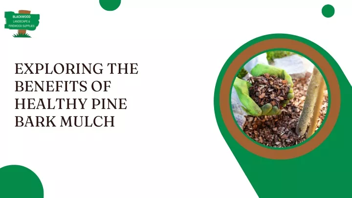 exploring the benefits of healthy pine bark mulch