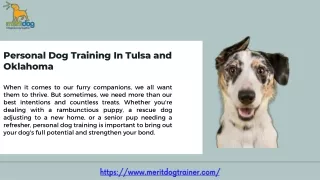 Unlock Your Dog's Potential with Personal Dog Training Services in Oklahoma