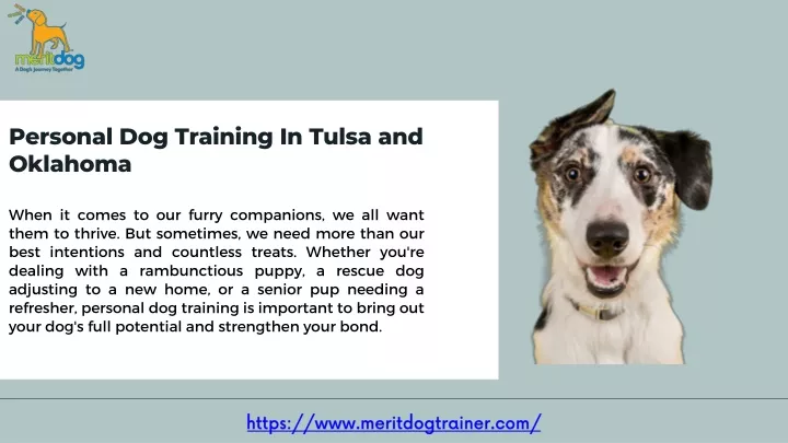 personal dog training in tulsa and oklahoma