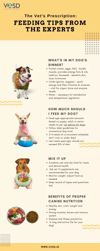 The Vet's Prescription:  Feeding Tips from the Experts