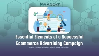 Essential Elements of a Successful Ecommerce Advertising Campaign