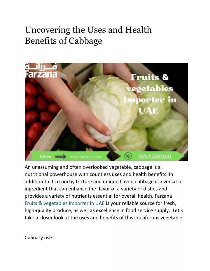 uncovering the uses and health benefits of cabbage