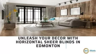 Unleash Your Decor With Horizontal Sheer Blinds In Edmonton