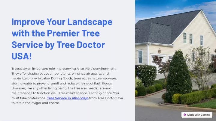 improve your landscape with the premier tree