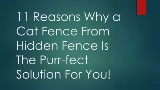 11 Reasons Why a Cat Fence From Hidden Fence Is The Purr-fect Solution For You
