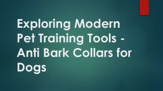 Exploring Modern Pet Training Tools - Anti Bark Collars for Dogs