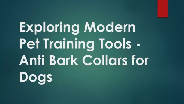 exploring modern pet training tools anti bark