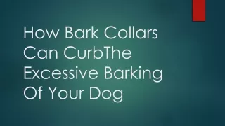 How Bark Collars Can CurbThe Excessive Barking Of Your Dog