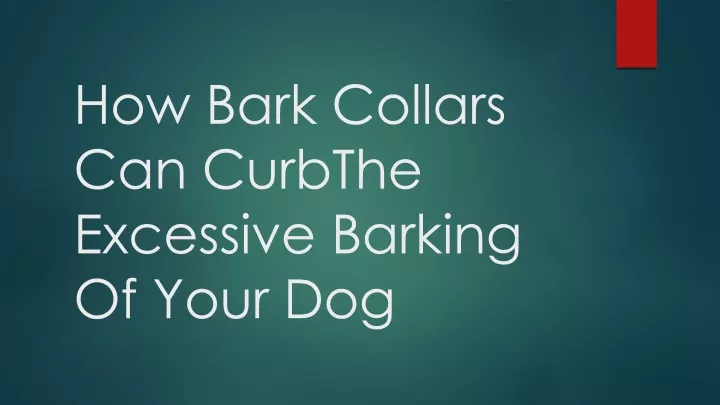 how bark collars can curbthe excessive barking