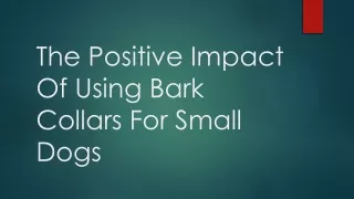 The Positive Impact Of Using Bark Collars For Small Dogs