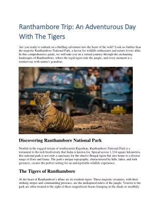 Ranthambore Trip: An Adventurous Day With The Tigers