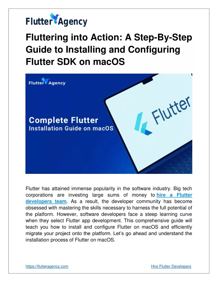 fluttering into action a step by step guide