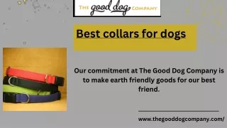 Get The Best collars for dogs