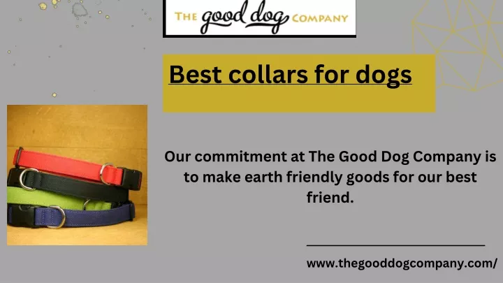 best collars for dogs