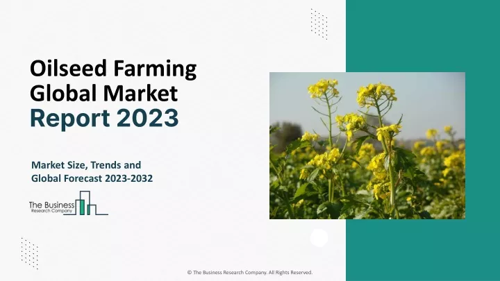 oilseed farming global market report 2023
