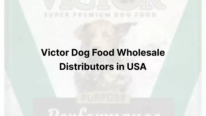 victor dog food wholesale distributors in usa