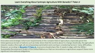 Learn Everything About Syntropic Agriculture With Benedict T Palen Jr