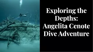 Exploring the Depths Angelita Cenote Dive Adventure