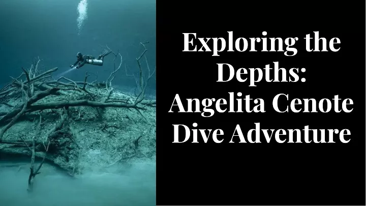 explorlng the depths angellta cenote dlve