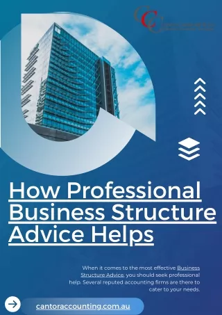 How Professional Business Structure Advice Helps