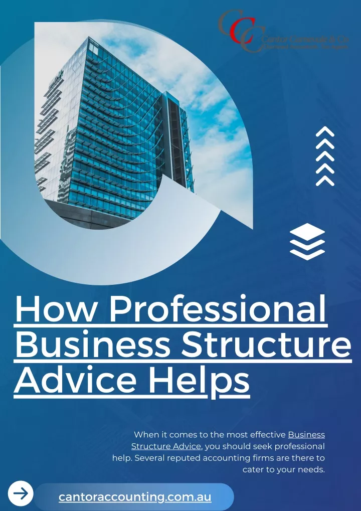 how professional business structure advice helps