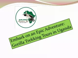 Embark on an Epic Adventure Gorilla Trekking Tours in Uganda