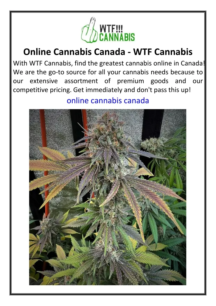 online cannabis canada wtf cannabis with