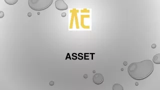 asset